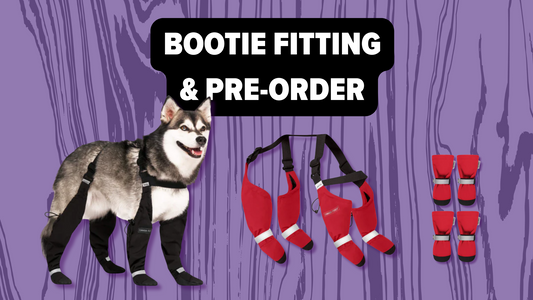 October 9-13 - Bootie Fitting & Pre-Order