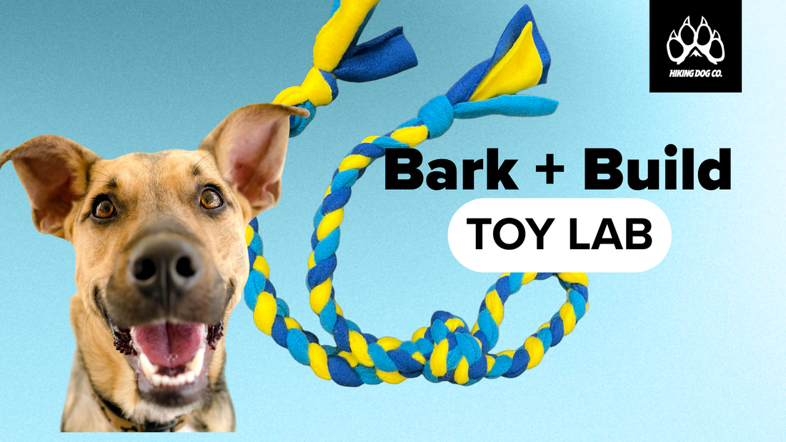 September 7 - Bark + Build Toy Lab