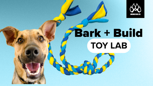September 7 - Bark + Build Toy Lab