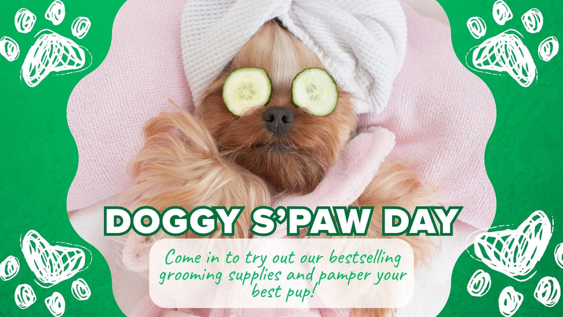 May 24 - Doggy S'Paw Day