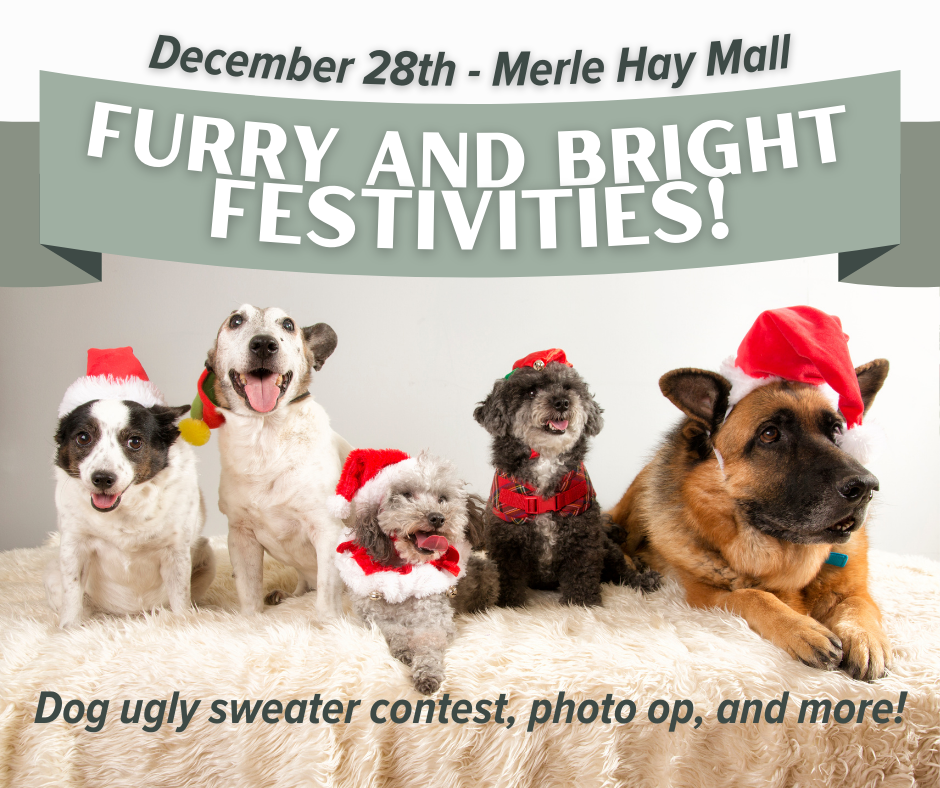 December 28 - Furry and Bright Festivities
