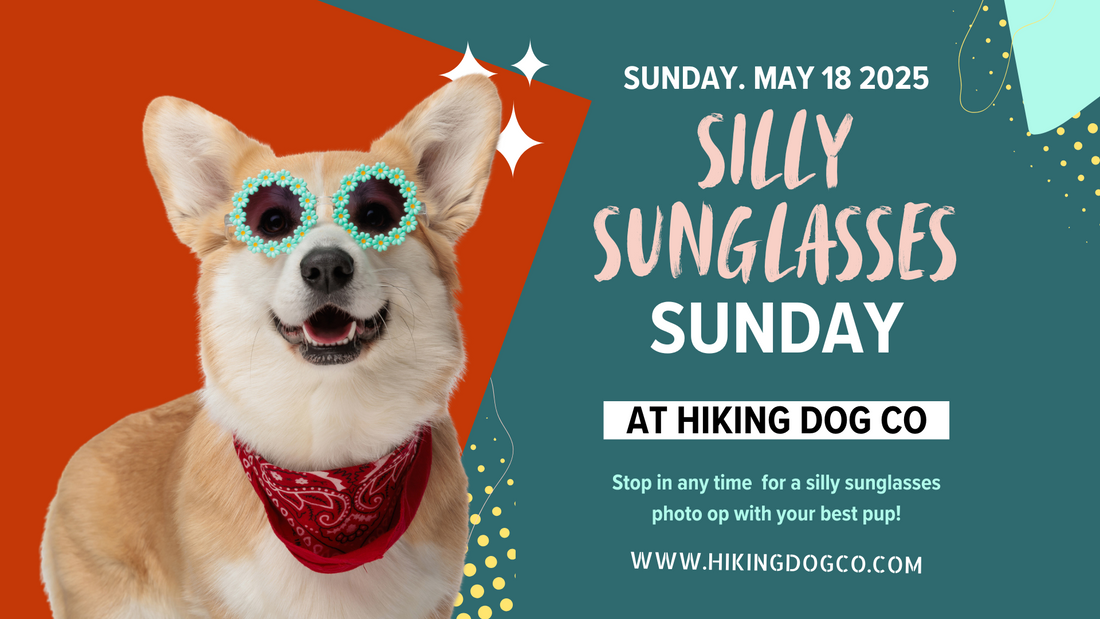 May 18 - Silly Sunglasses Sunday