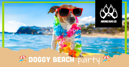August 30 - Doggy Beach Party