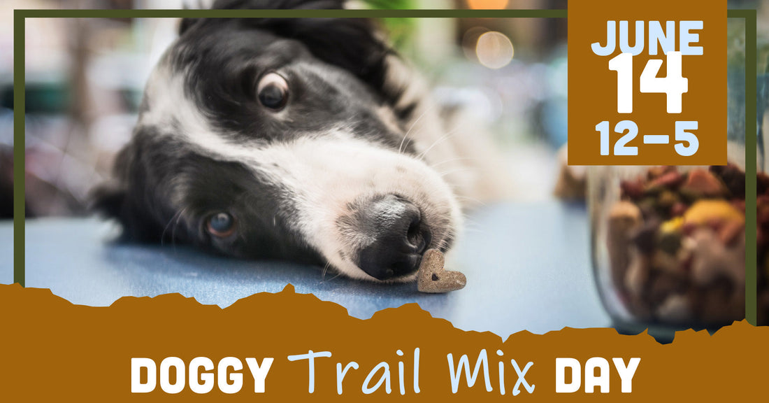 June 14 -  Doggy Trail Mix Day