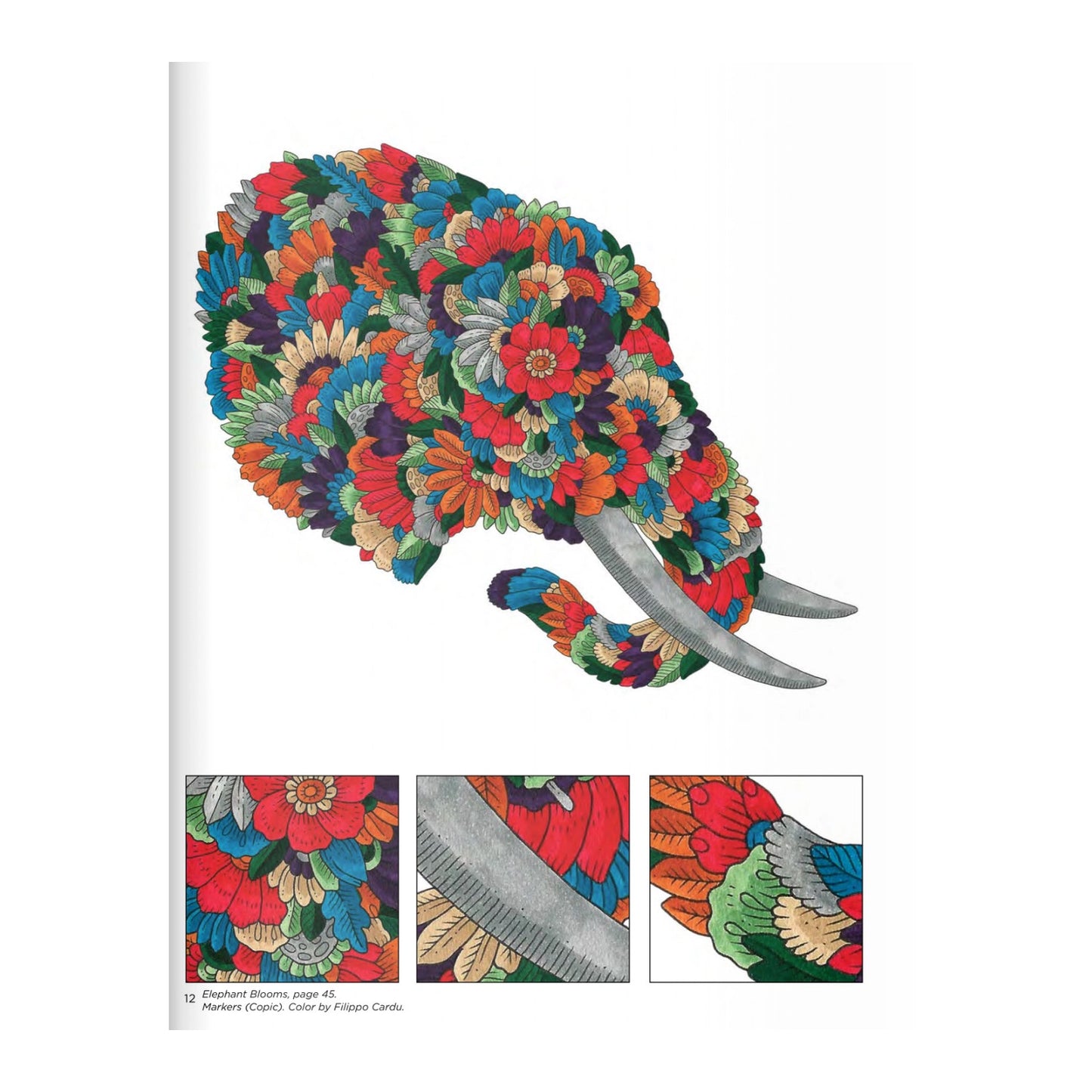 Coloring Book - Blooming Animals
