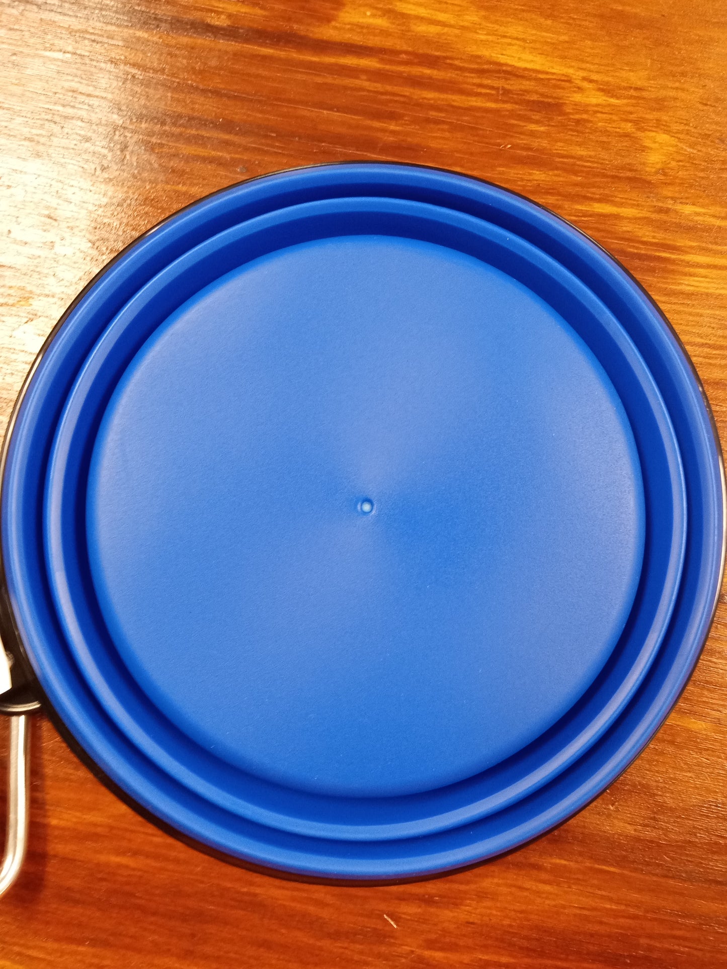 Collapsible Travel Dog Bowl