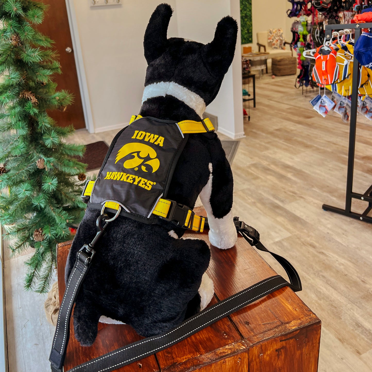College Harness - Iowa by BAYDOG