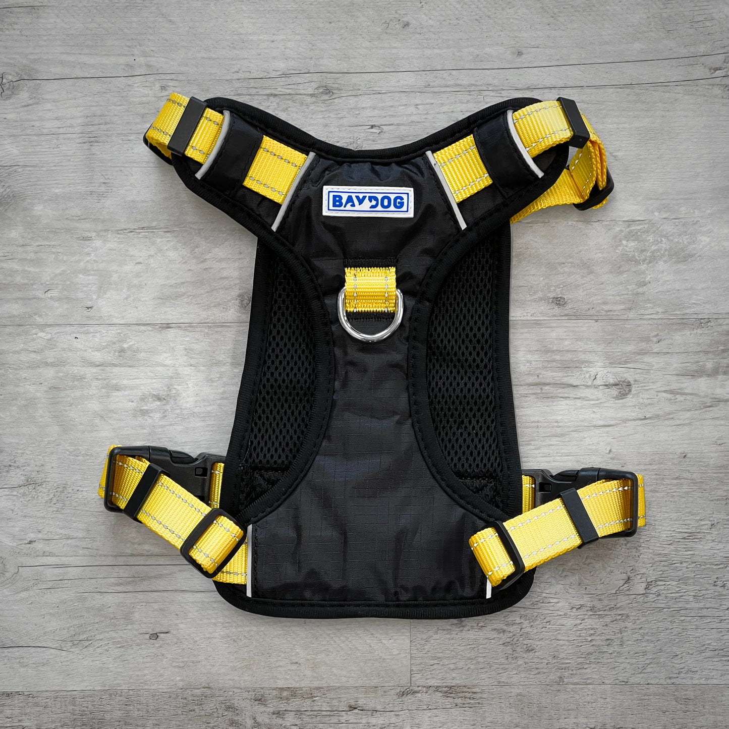 College Harness - Iowa by BAYDOG