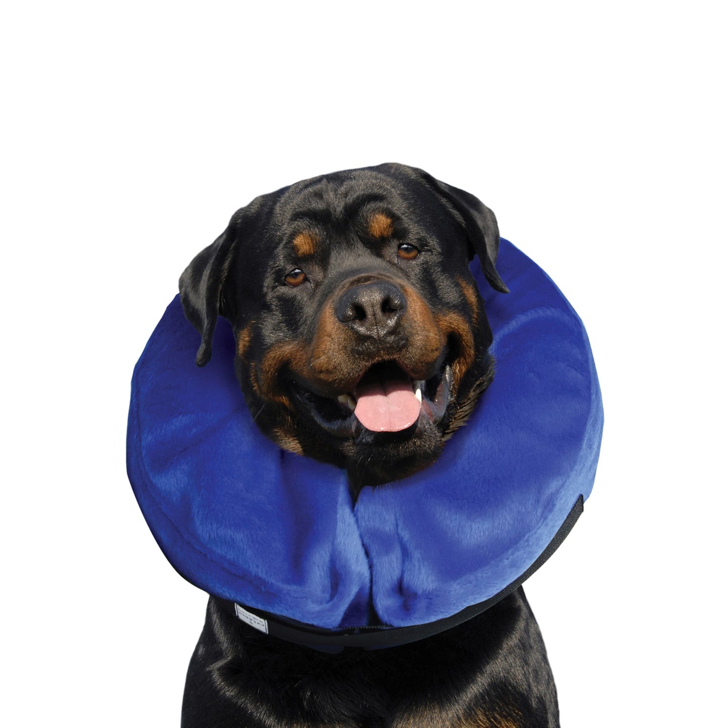 Kong® E-Collar Cloud®