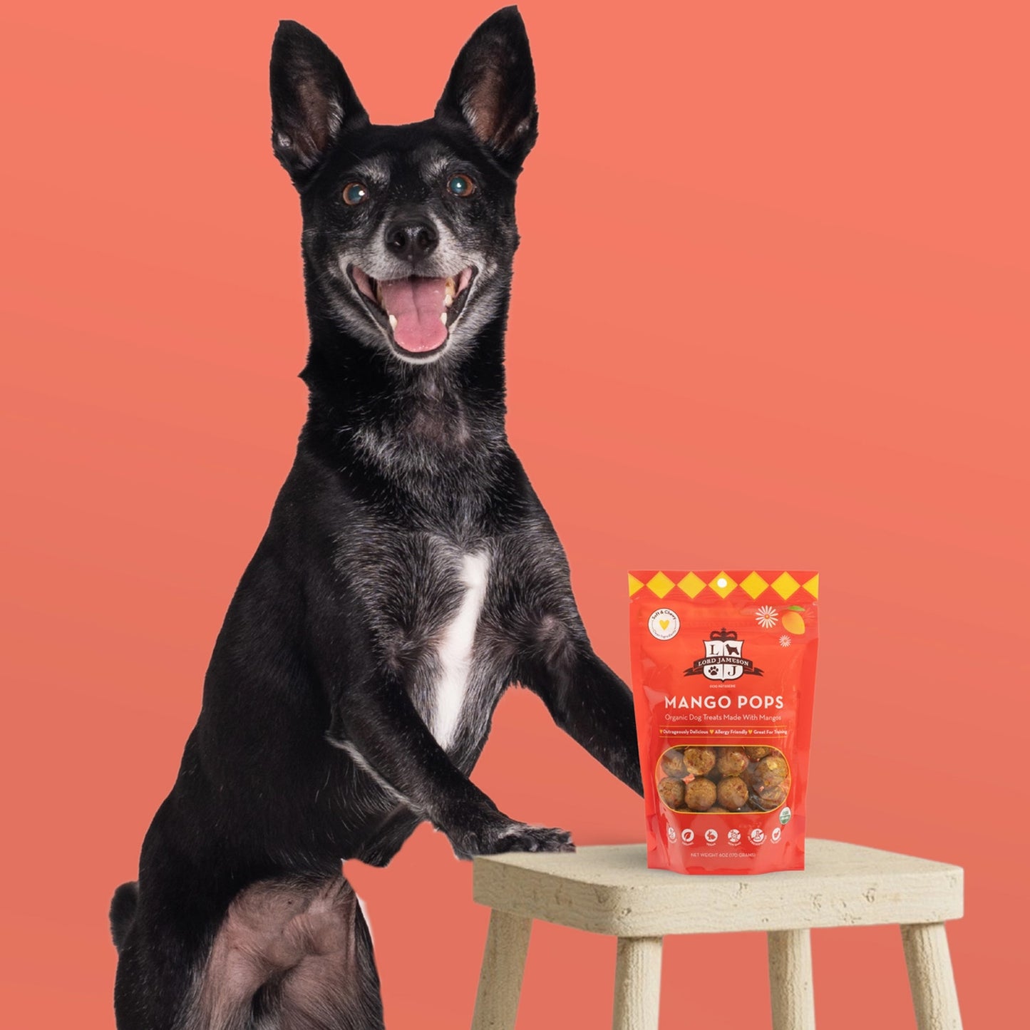 Lord Jameson Mango Pops Organic Dog Treats
