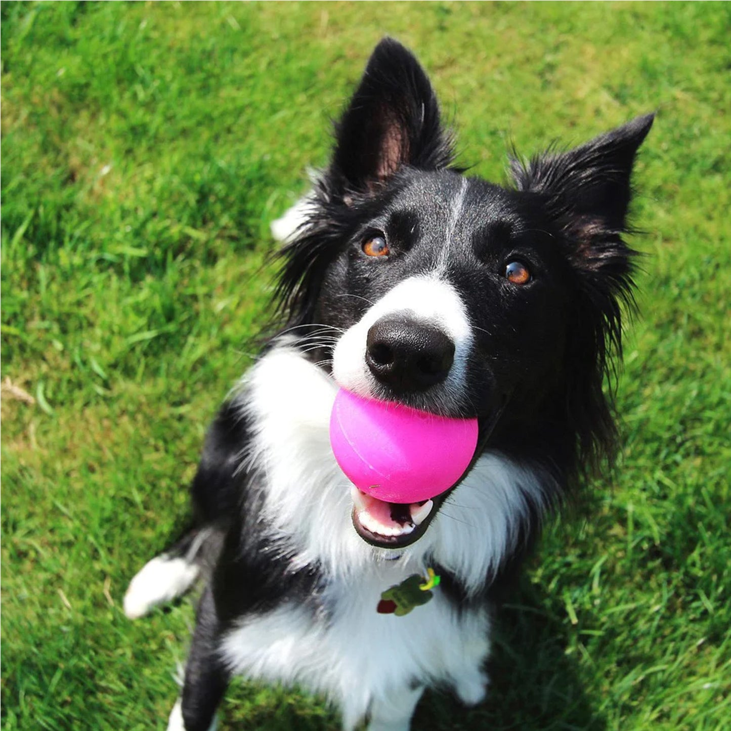Ruff Dawg Ball XXL Indestructible Toy
