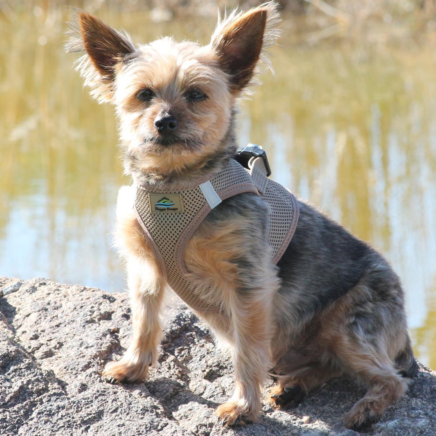 American River Harness by Doggie Design