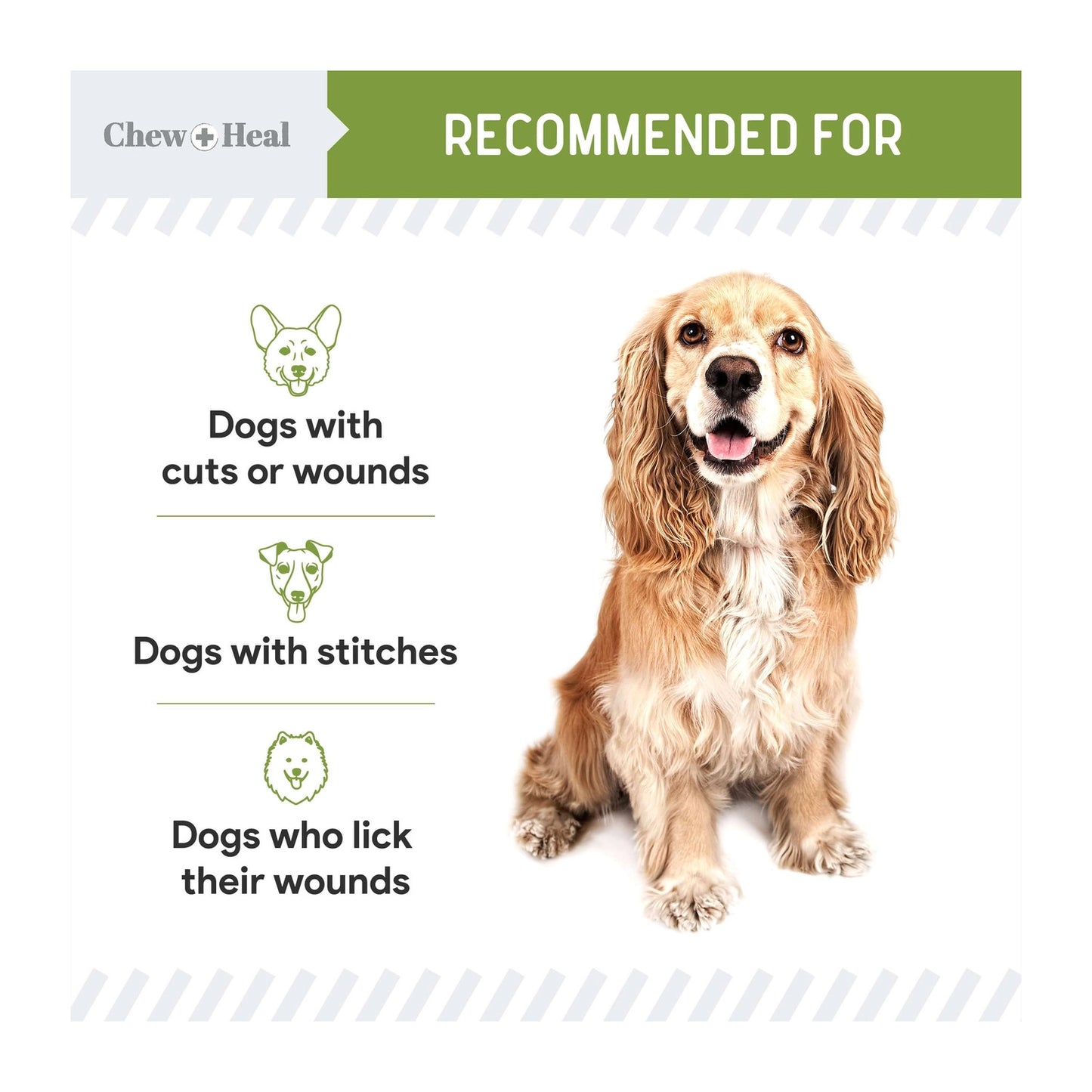Chew + Heal Liquid Bandage For Dogs, 4 oz.