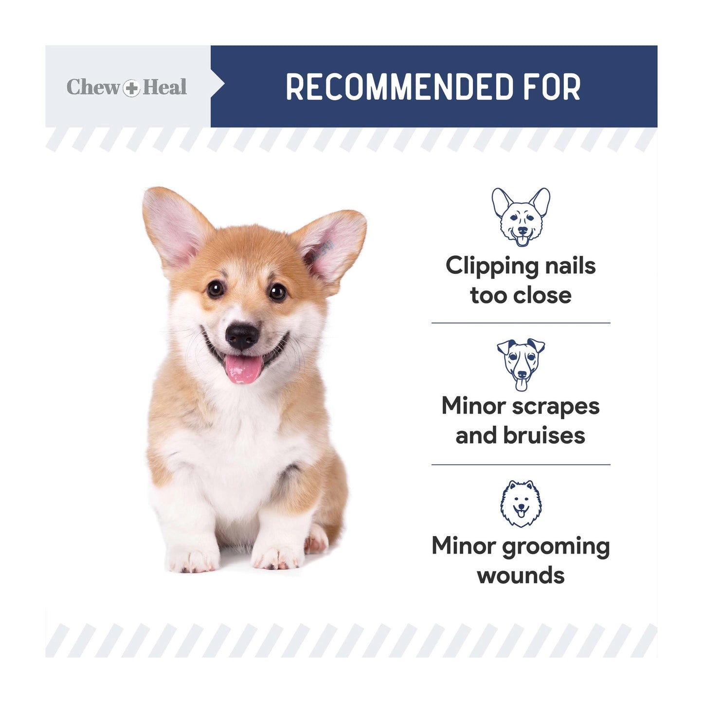 Chew + Heal Styptic Powder For Dogs, Cats and Birds