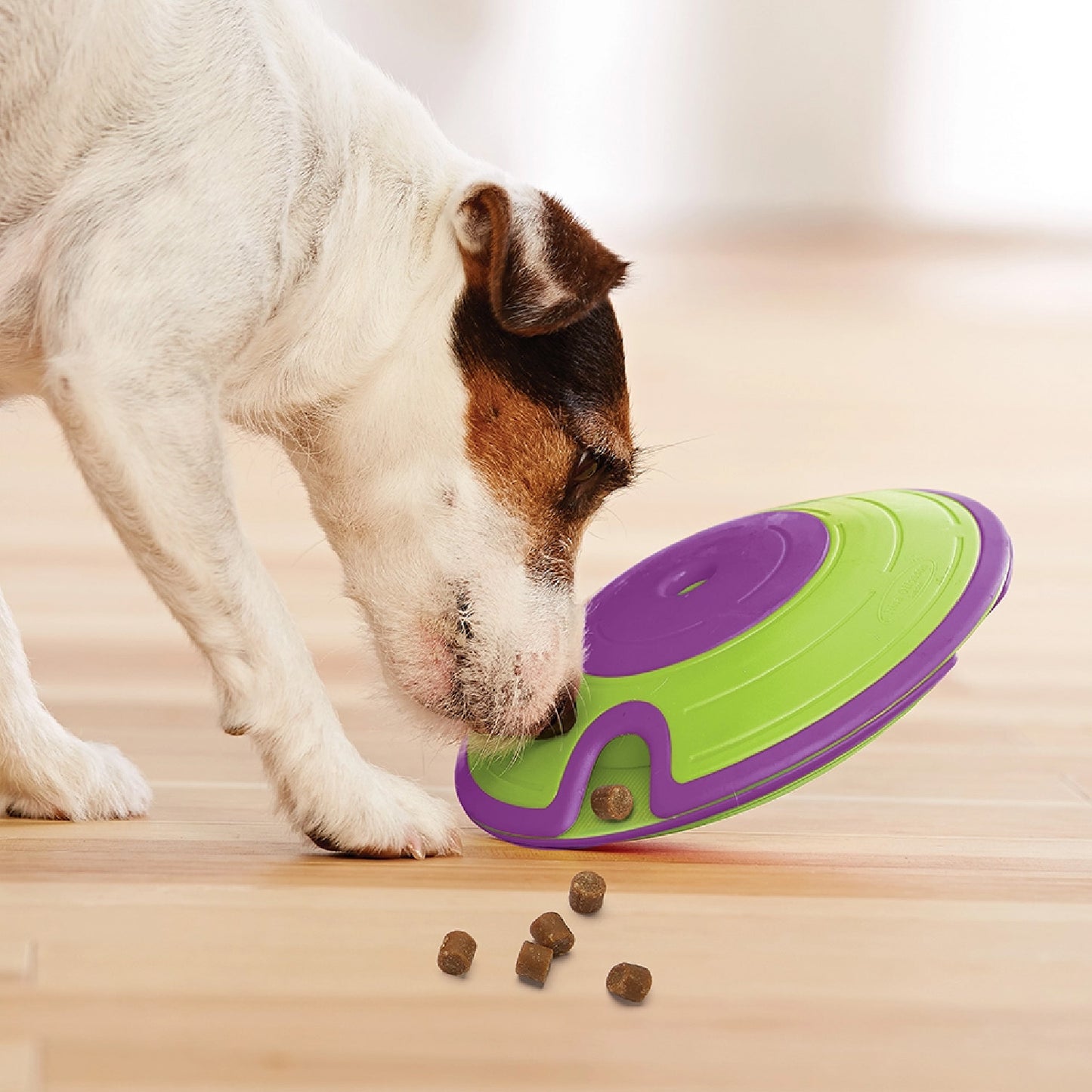 Outward Hound Dog Treat Maze