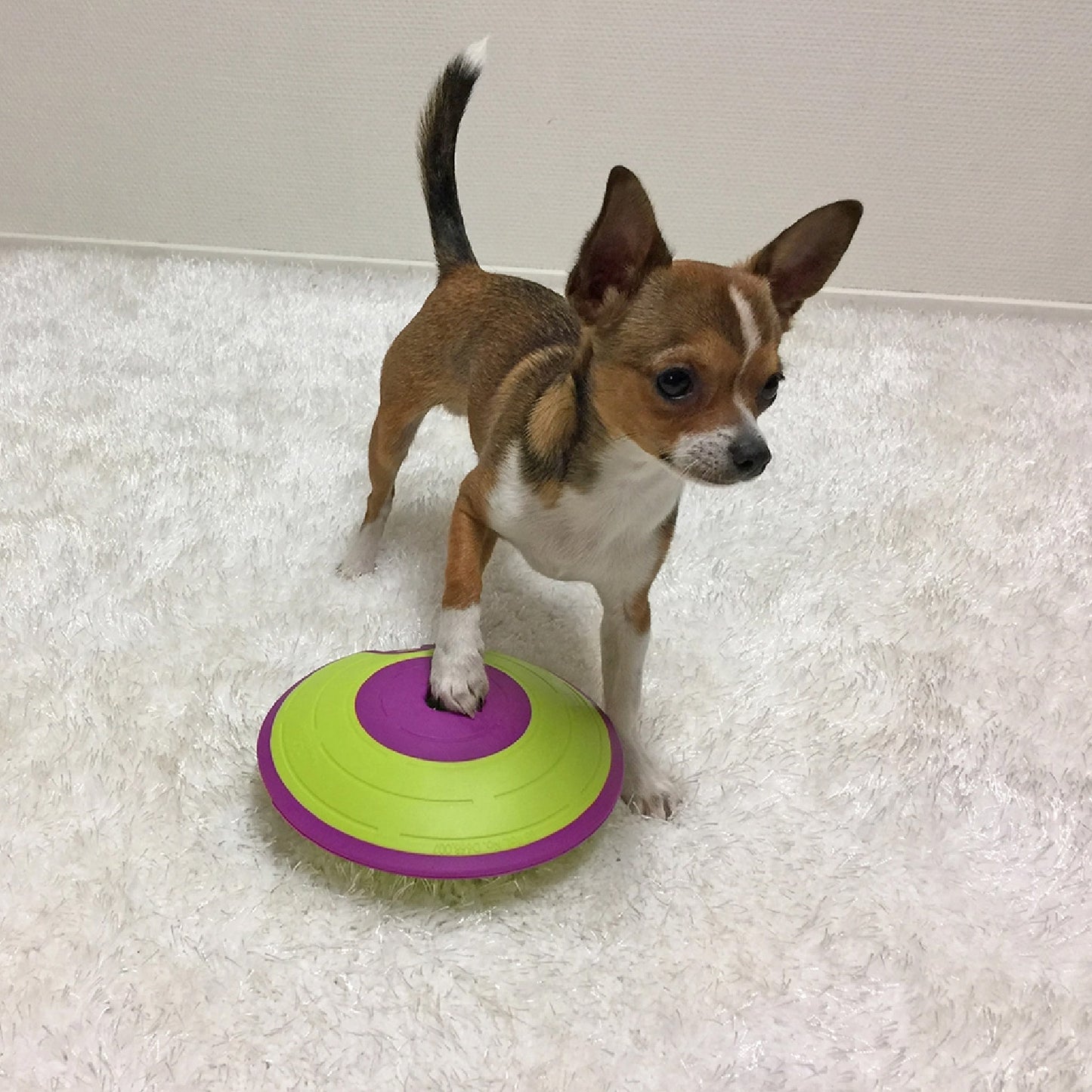 Outward Hound Dog Treat Maze