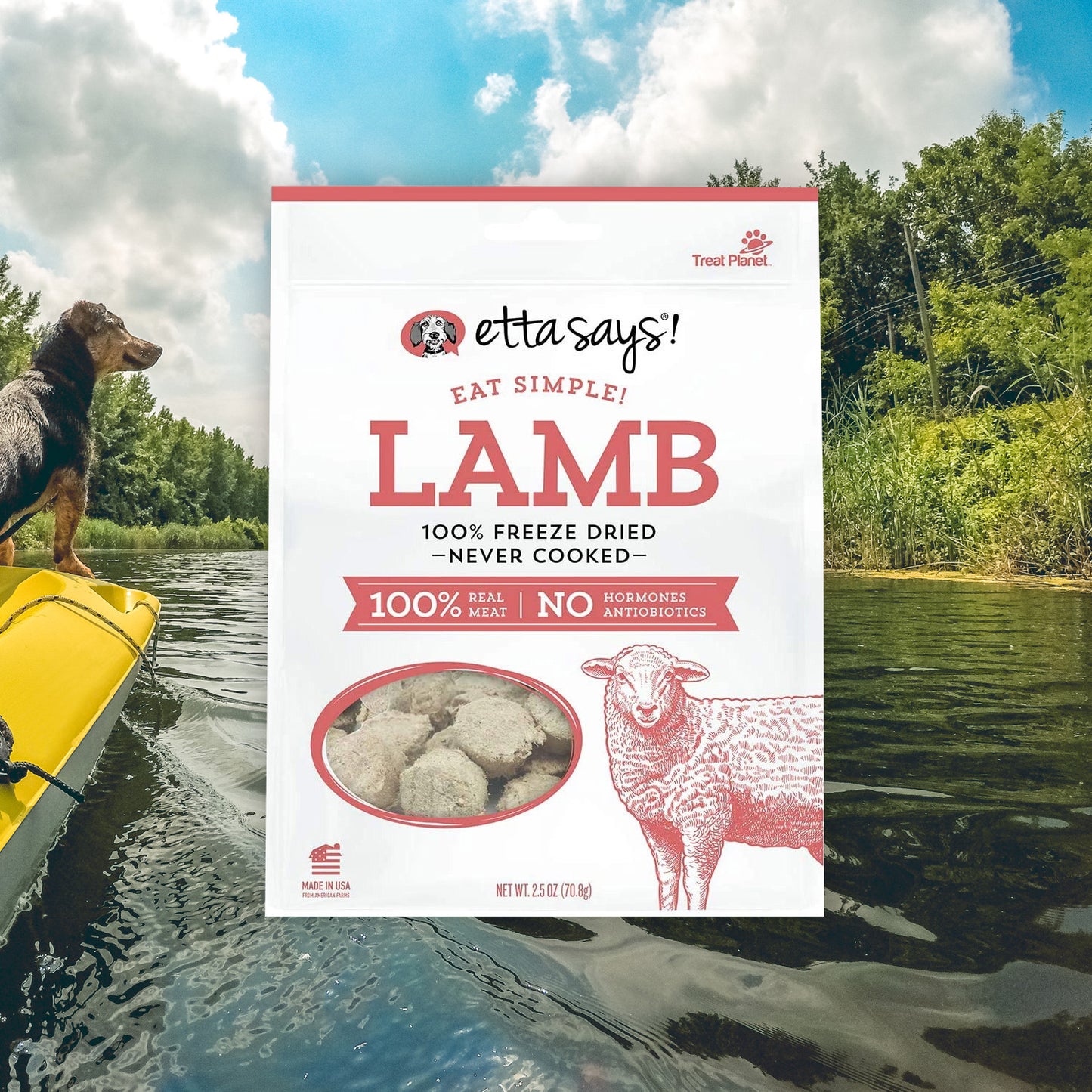 Etta Says! Eat Simple! Freeze Dried Lamb Treats