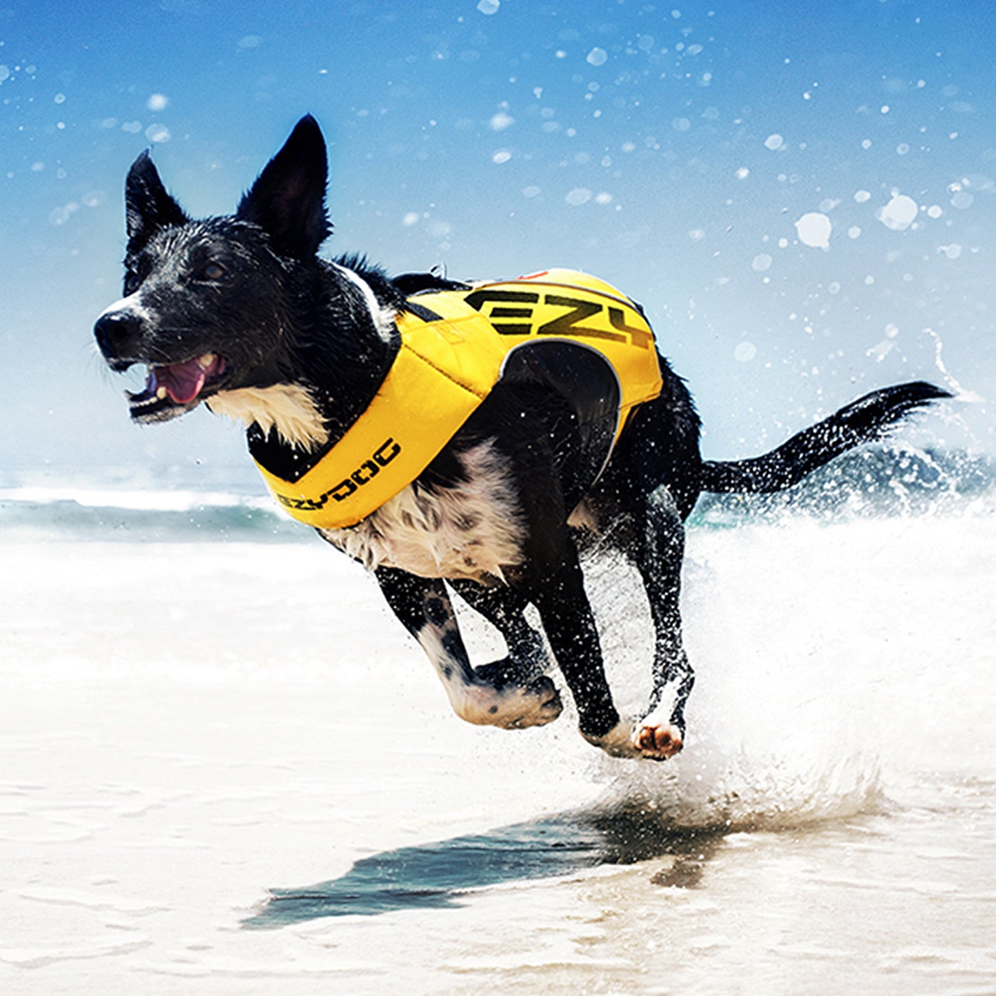 EzyDog DFD X2 Boost Dog Floatation Device