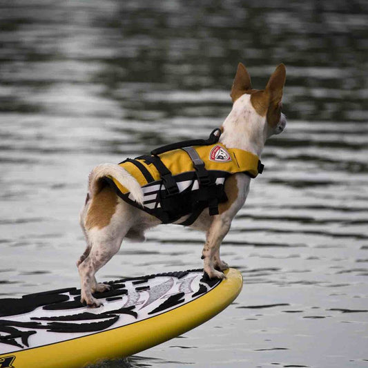 EzyDog Micro Dog Flotation Device