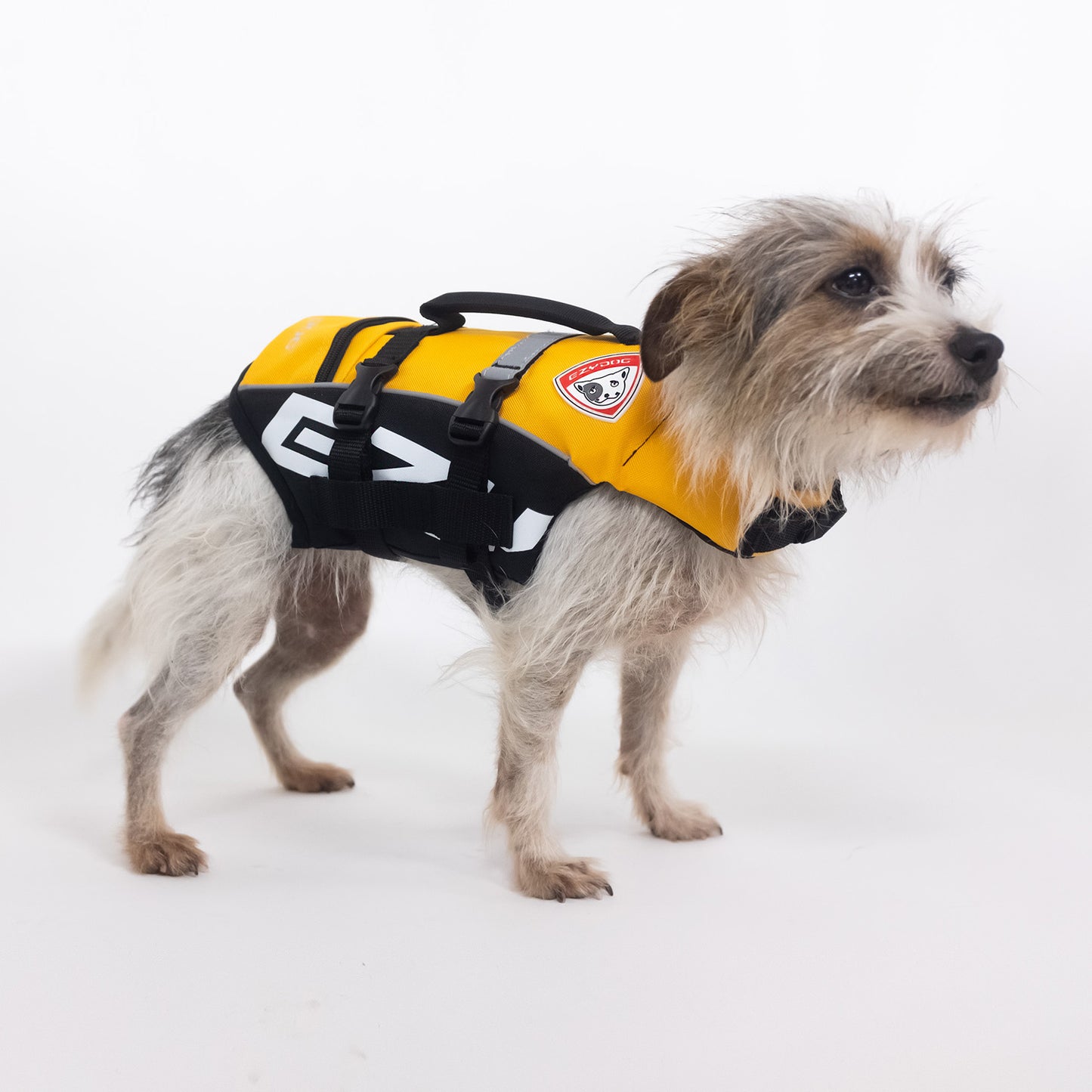 EzyDog Micro Dog Flotation Device