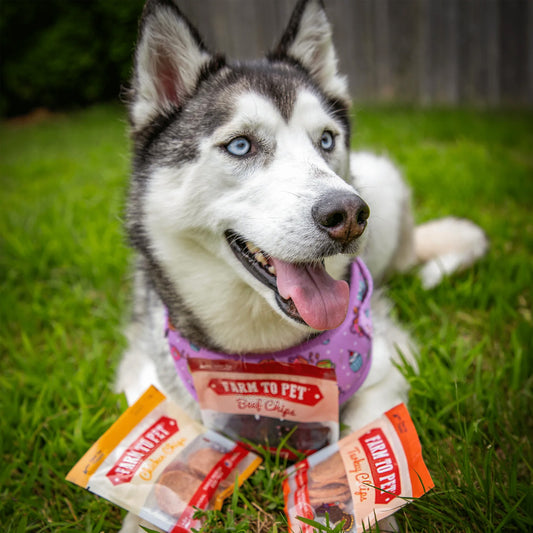 Farm to Pet Snack Pack