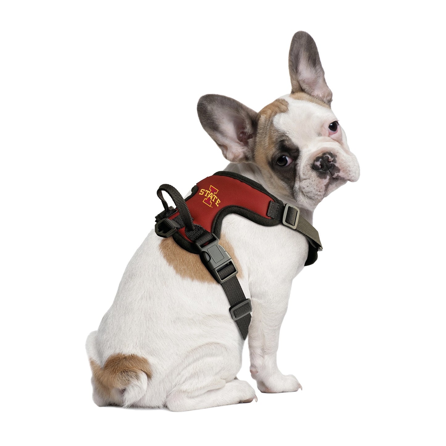 Iowa State Cyclones Front Clip Pet Harness