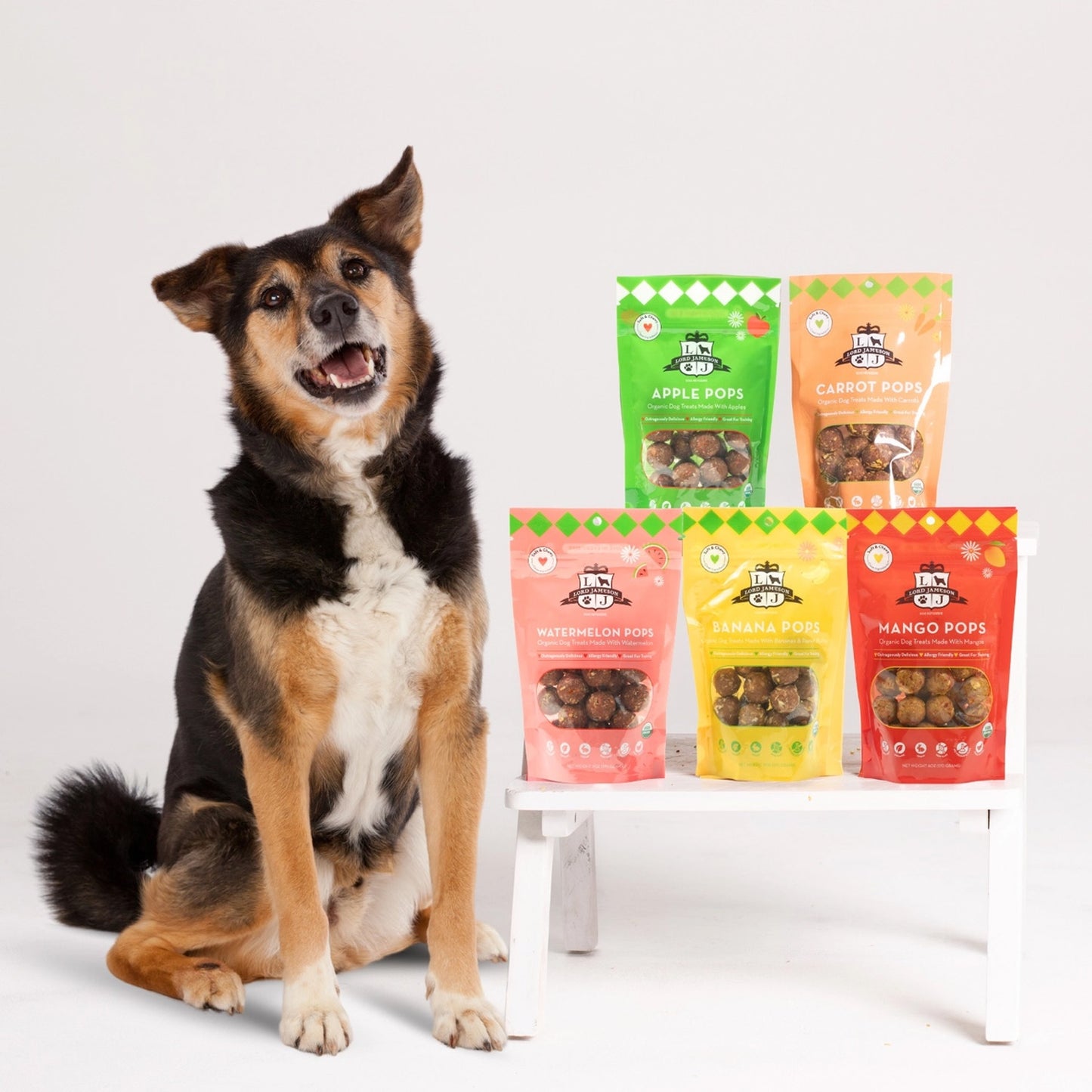 Lord Jameson Carrot Pops Organic Dog Treats