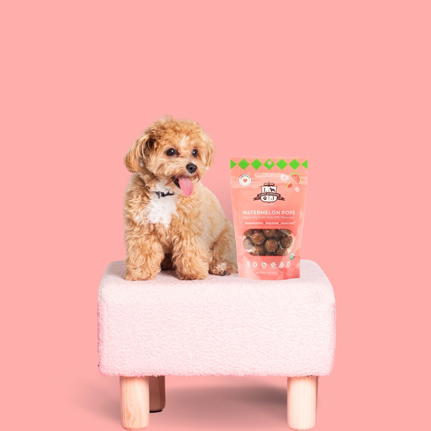 Lord Jameson Watermelon Pops Organic Dog Treats