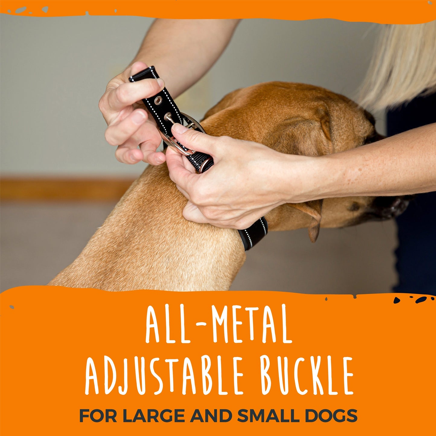 Mighty Paw Sport Collar 2.0 (Dog Collar)