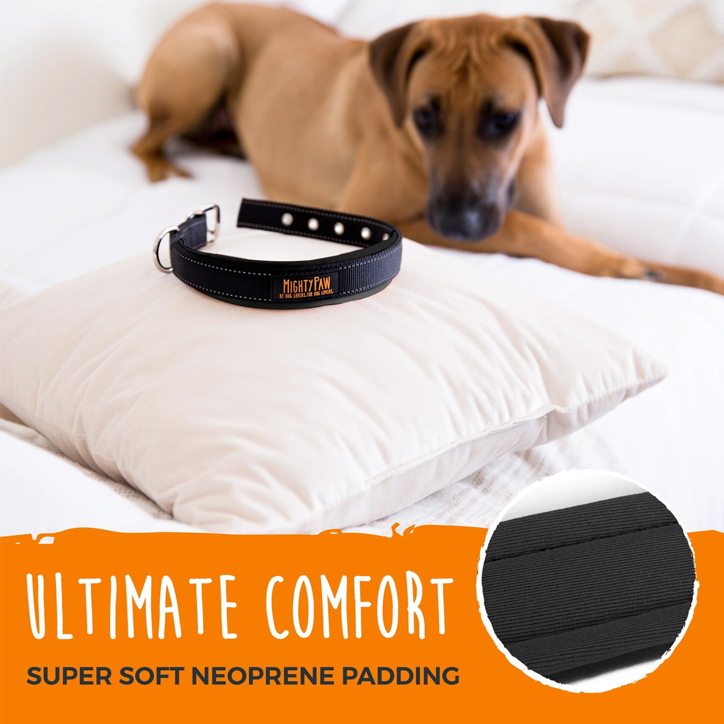 Mighty Paw Sport Collar 2.0 (Dog Collar)