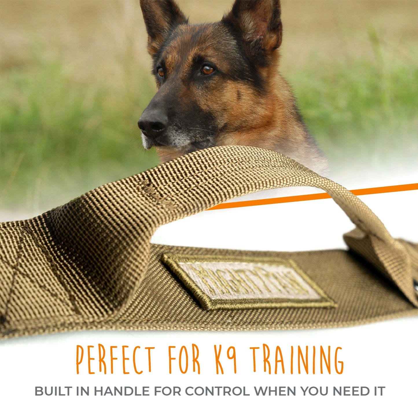 Tactical Dog Collar