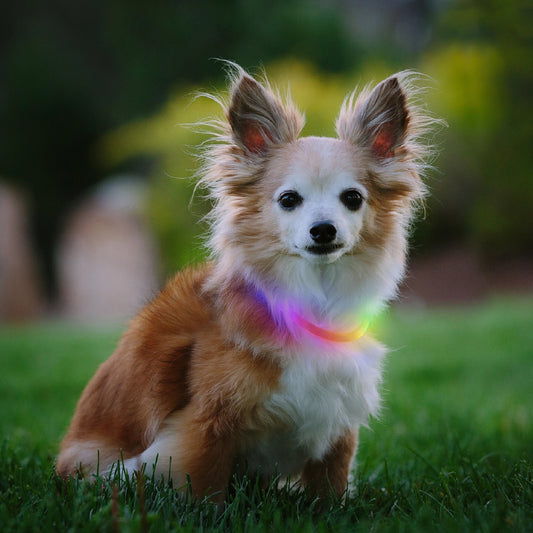 NiteHowl Mini Rechargeable LED Safety Necklace