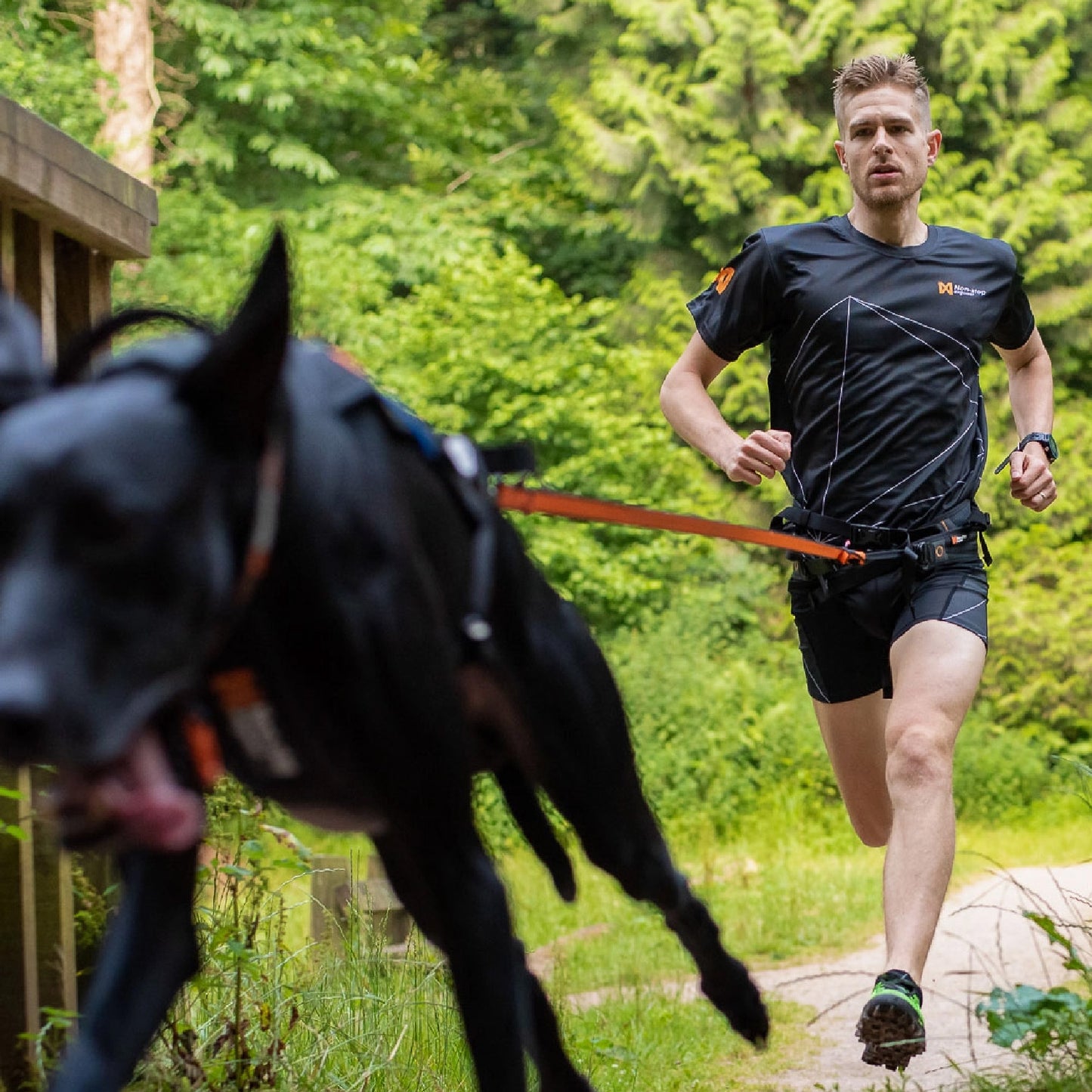 Bungee Leash for bikejoring canicross skijoring