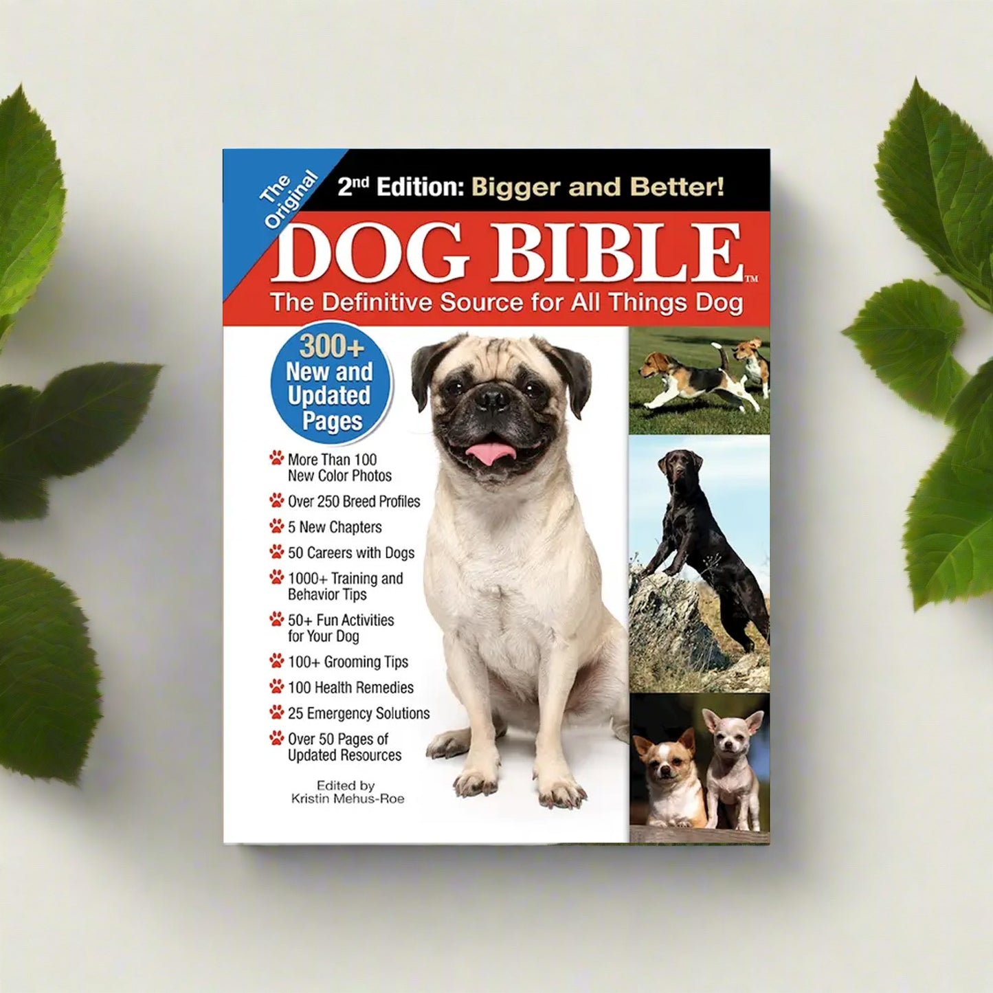 the Original Dog Bible Book