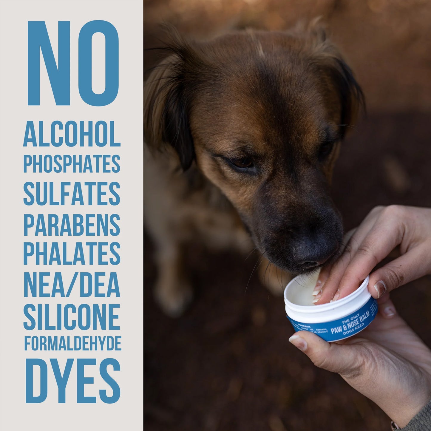The Only Paw and Nose Balm Dogs Need