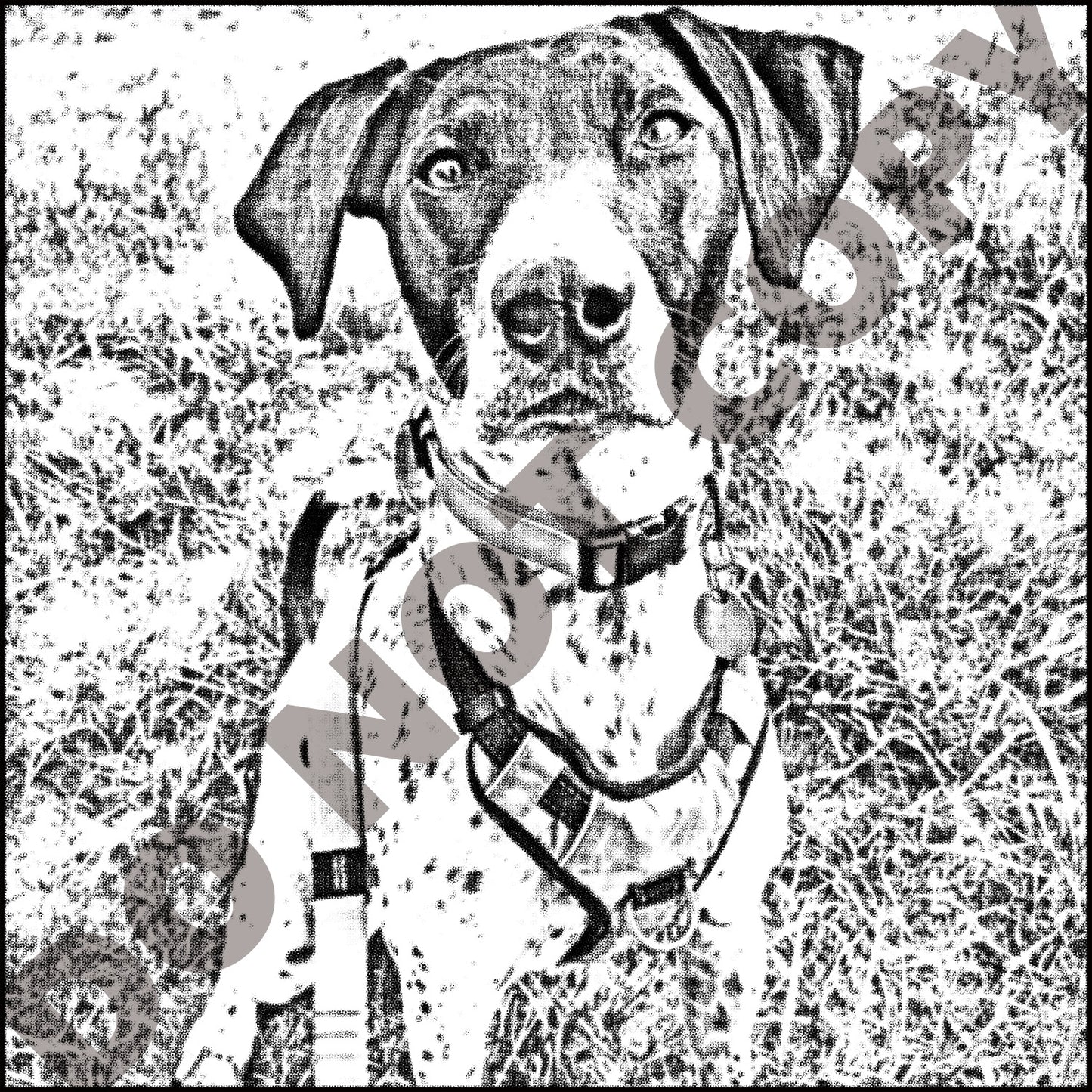 PupPic Custom Colorable