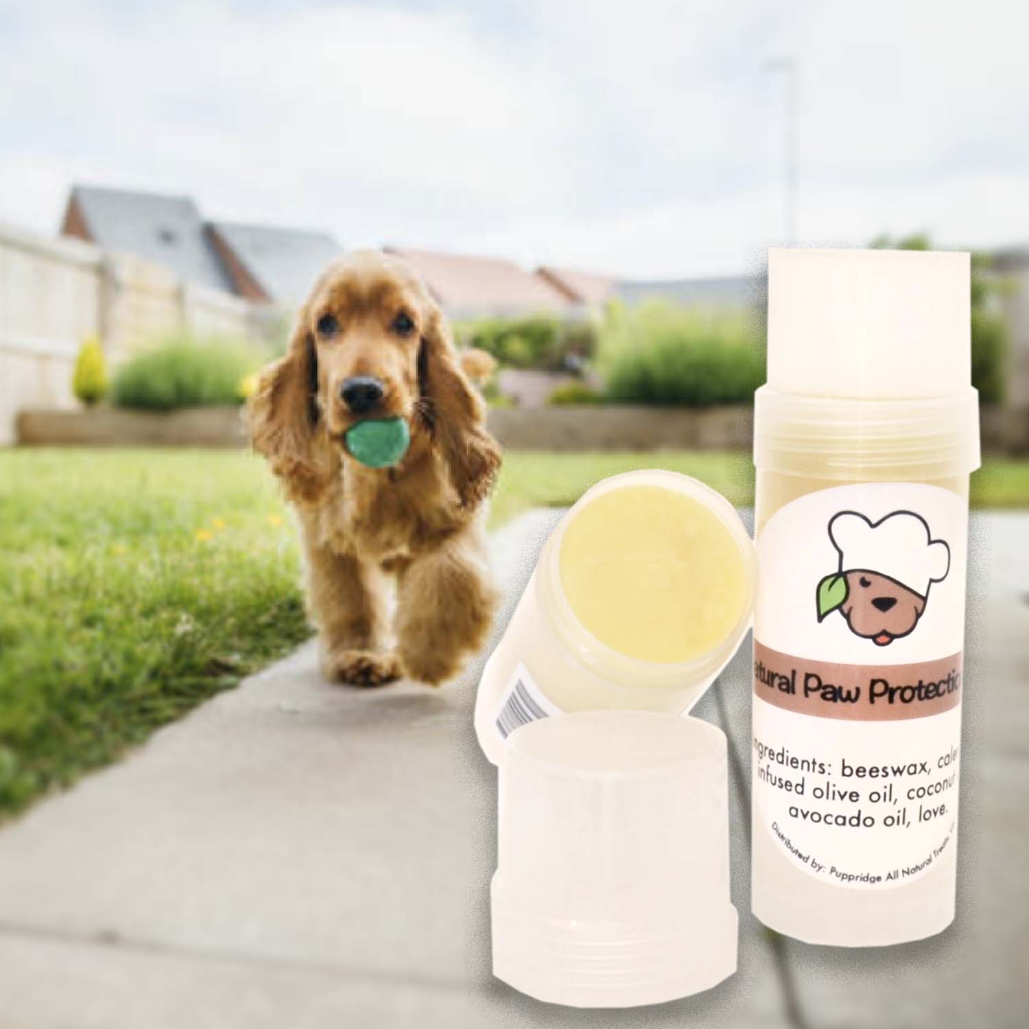 Natural dog paw protection wax tube in foreground. Dog holding a green ball in mouth is walking on a sidewalk in the background.