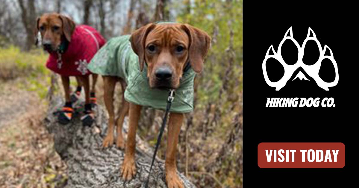 Hiking vest hotsell for dogs