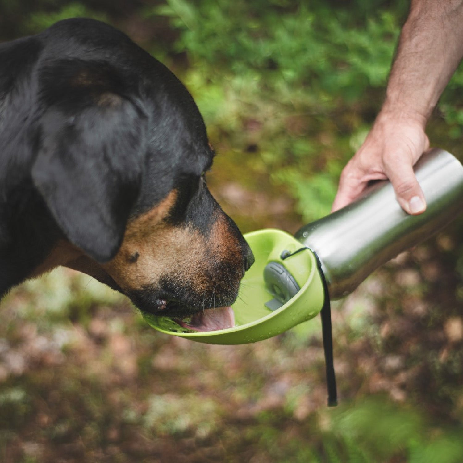 Messy Mutts Stainless Travel Water Bottle & Bowl Blue