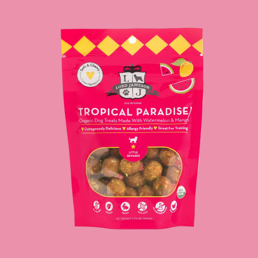 Small Breed Tropical Paradise | Watermelon & Mango