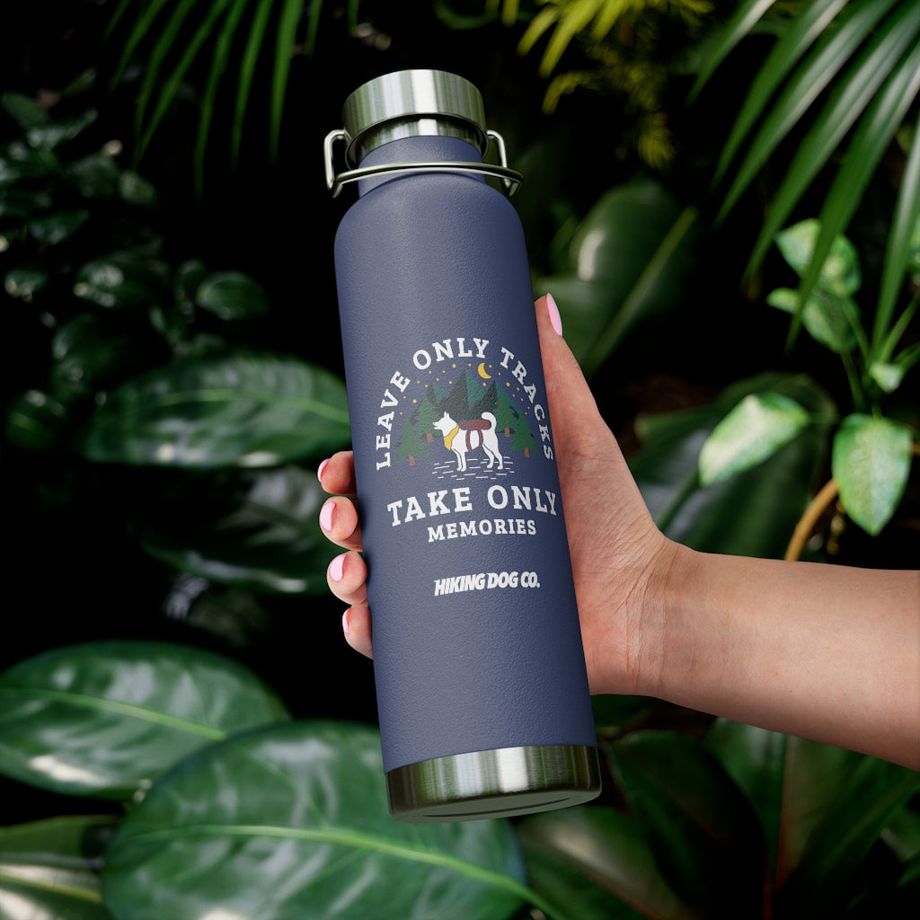 Insulated Water Bottle for Hiking