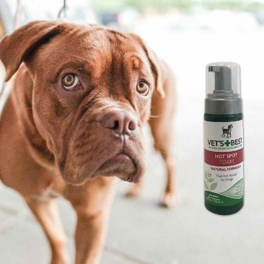 Quick Soothing Hot Spot Foam for Dogs from Vet's Best