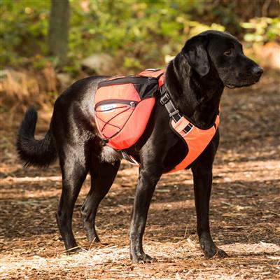 backpack pack certified hiking dog Saranac Backpack for Dogs by BAYDOG