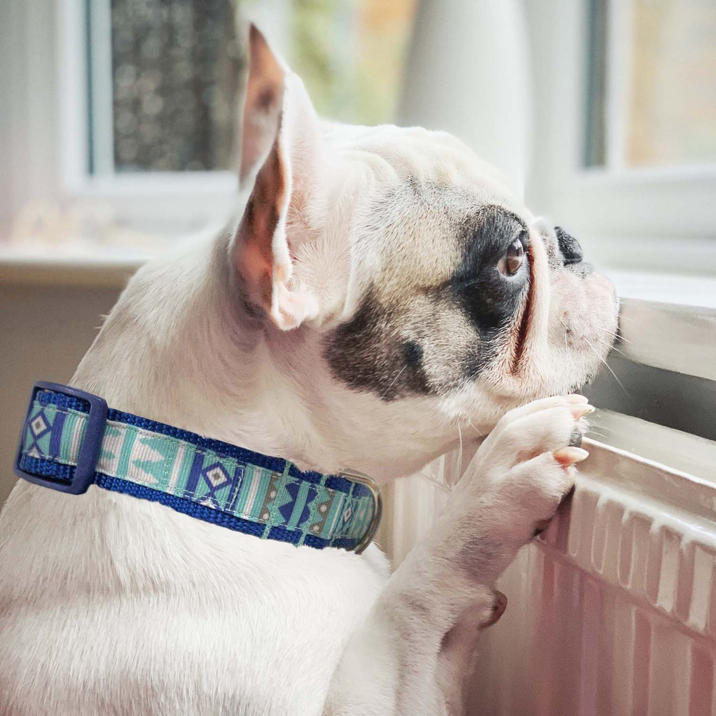 Blue Aztec Collar