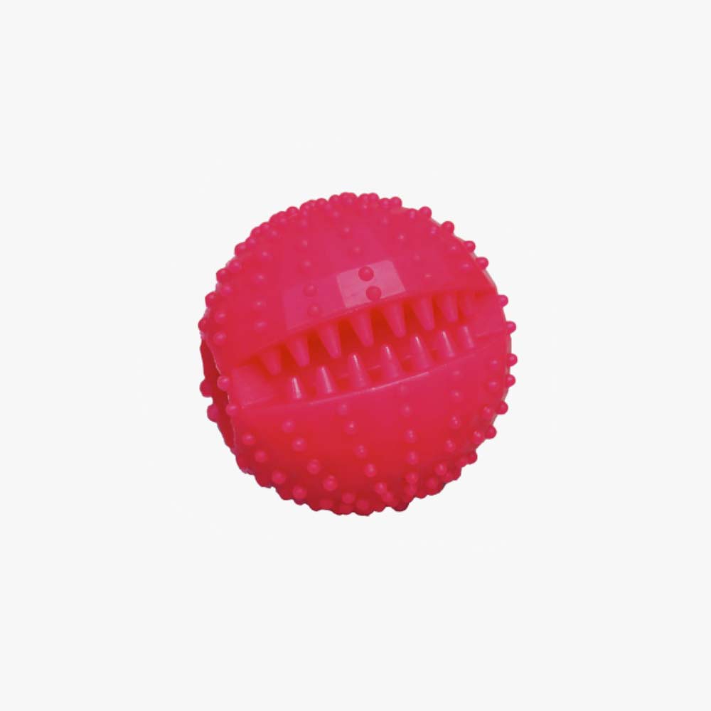 Teeth Cleaning Treat Dispensing Dog Ball