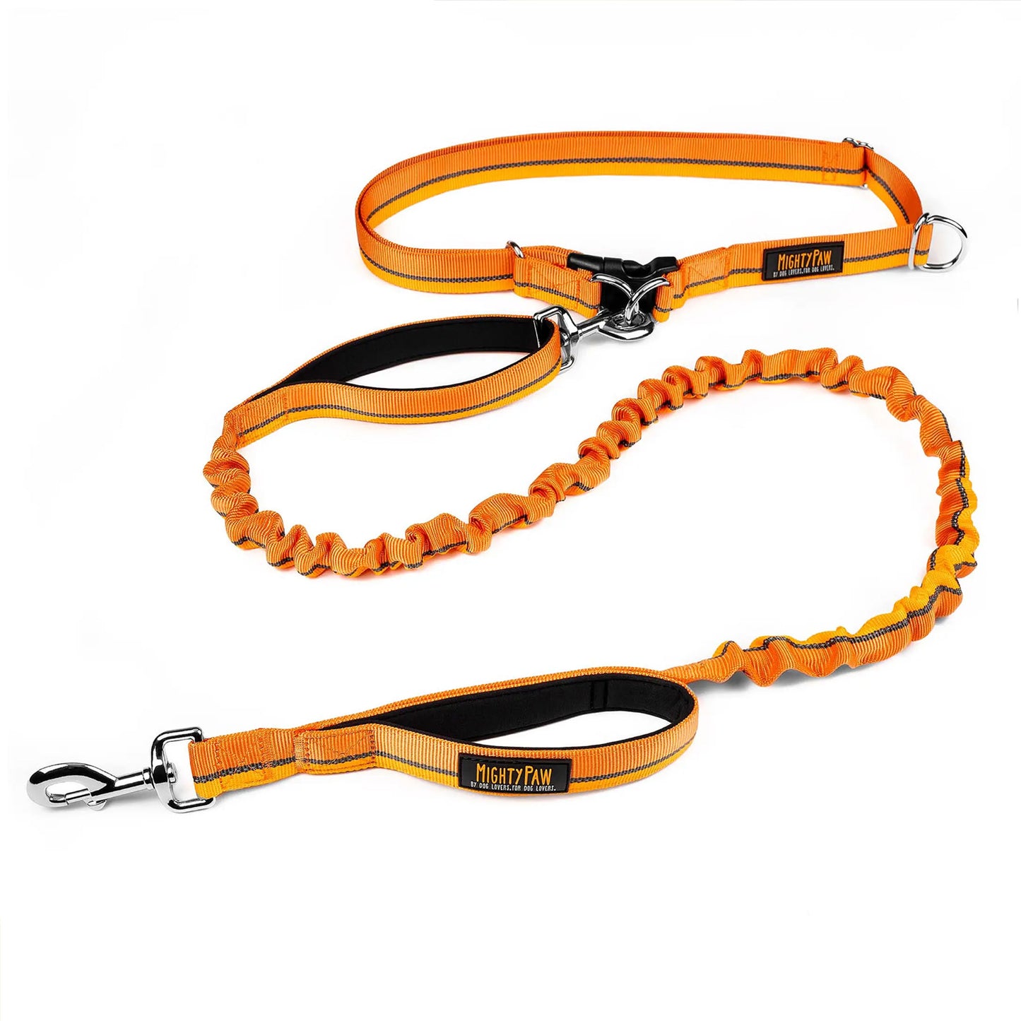 Hands-free Bungee Leash 2.0