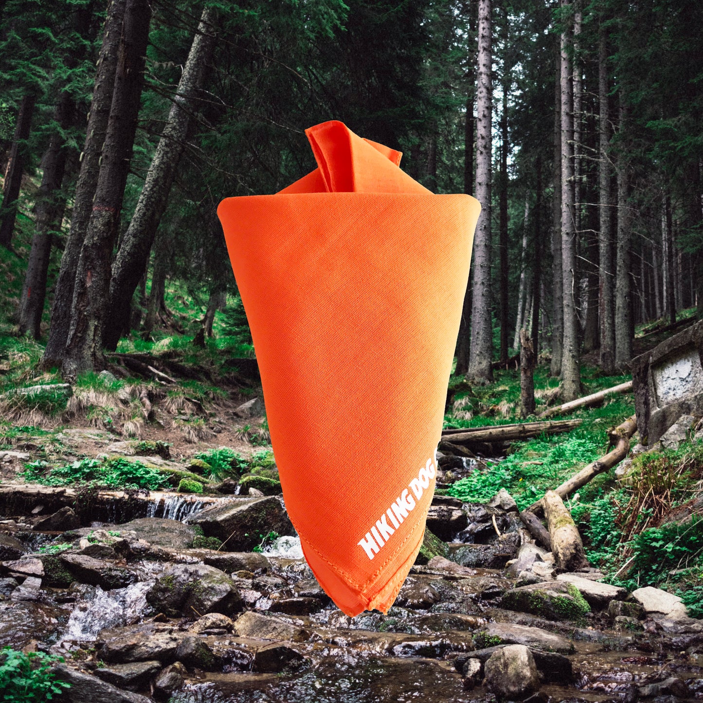 High-Vis Bandanna