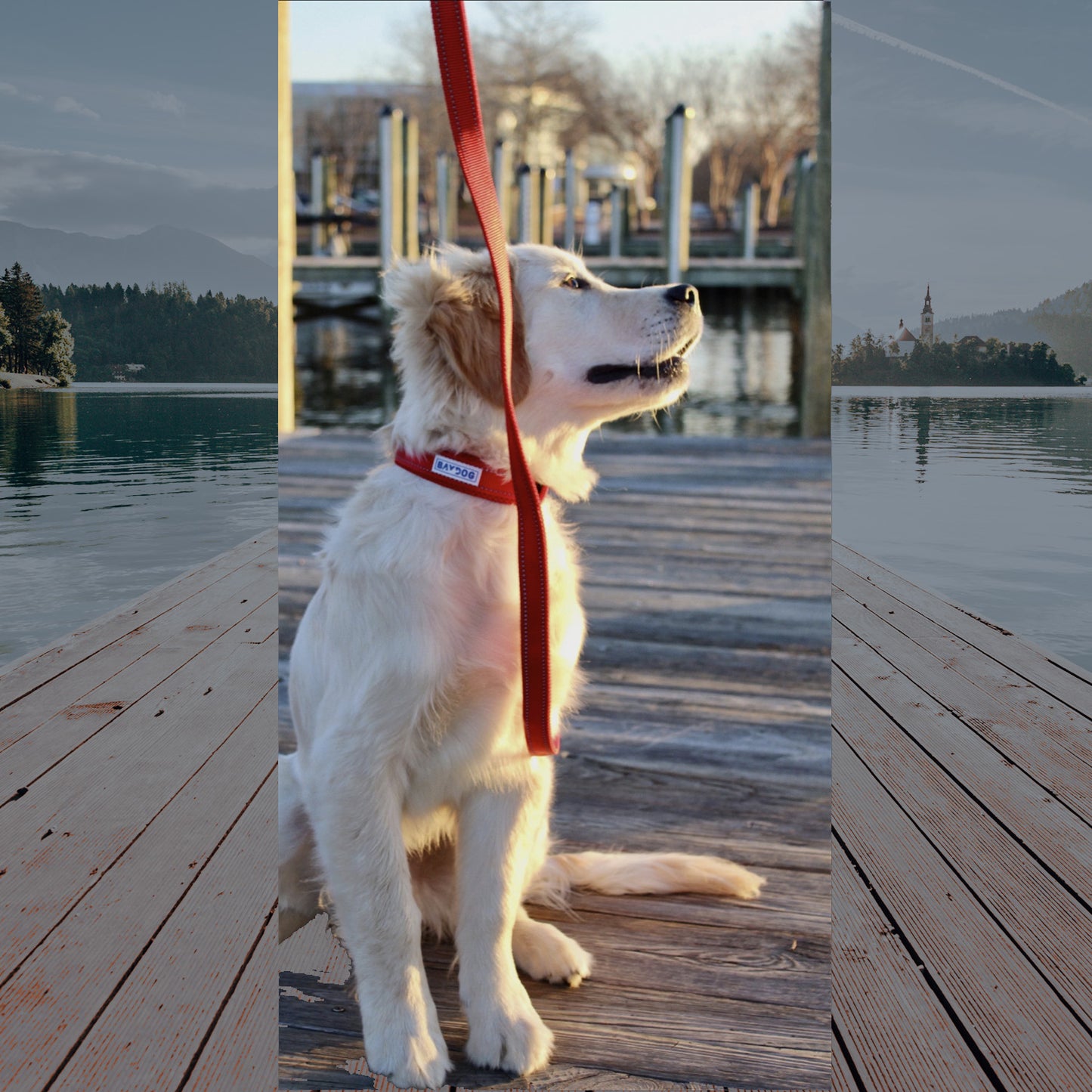 Hudson Bay Leash by BAYDOG