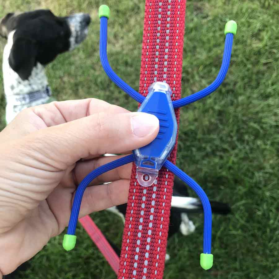 LeashLit LED Micro Flashlight for Leash