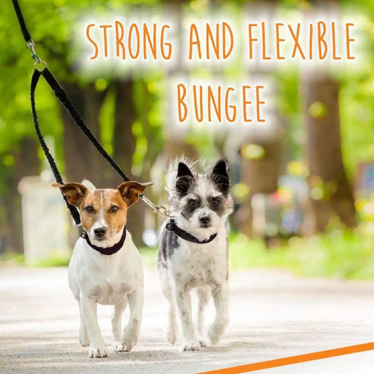 Double Bungee X2 Dog Leash